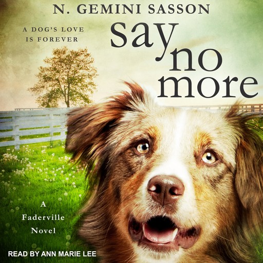 Say No More, N. Gemini Sasson