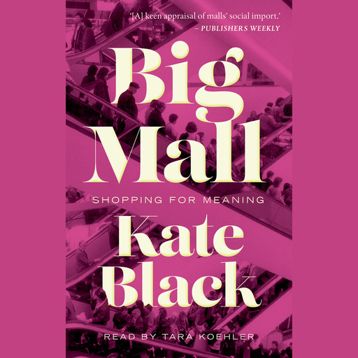 Big Mall - Shopping for Meaning (Unabridged), Kate Black