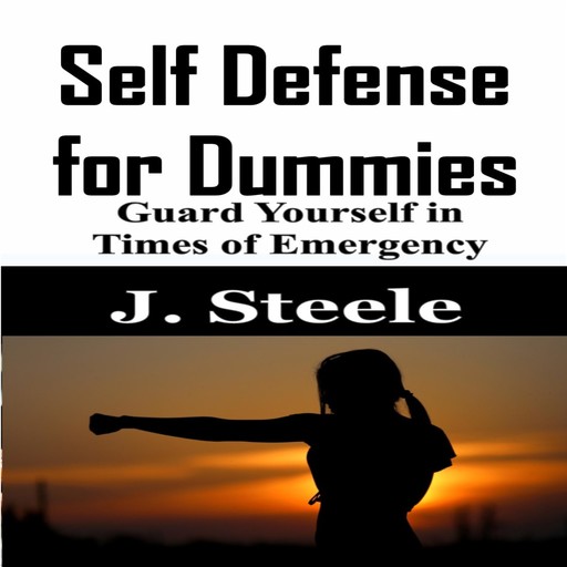 Self Defense for Dummies, J.Steele
