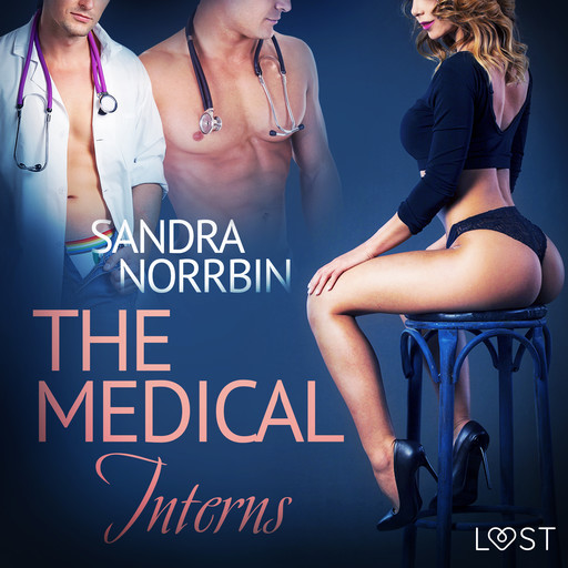 The Medical Interns - erotic short story, Sandra Norrbin