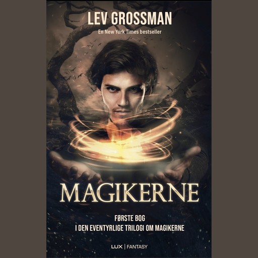 Magikerne, Lev Grossman