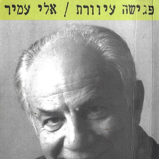 פגישה עיוורת, Eli Amir