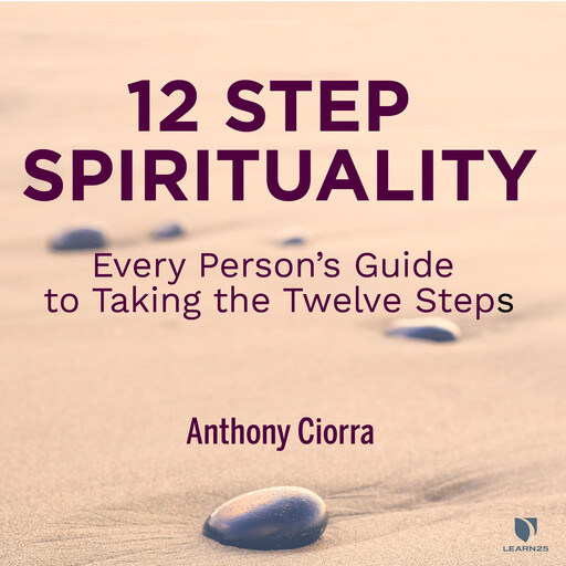 12 Step Spirituality: Every Person’s Guide to Taking the Twelve Steps, Anthony J. Ciorra