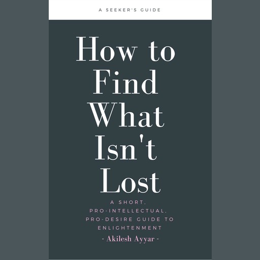 How to Find What Isn't Lost, Akilesh Ayyar