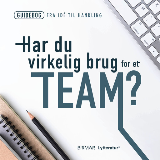 Har du virkelig brug for et team?, Lars Stig Duehart