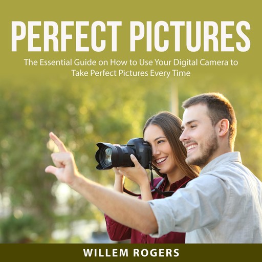 Perfect Pictures, Willem Rogers
