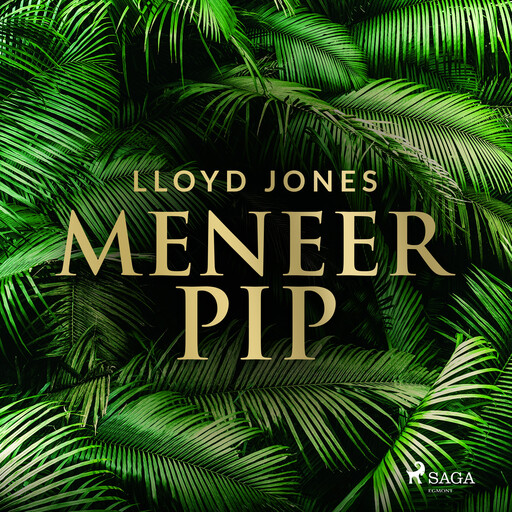 Meneer Pip, Lloyd Jones