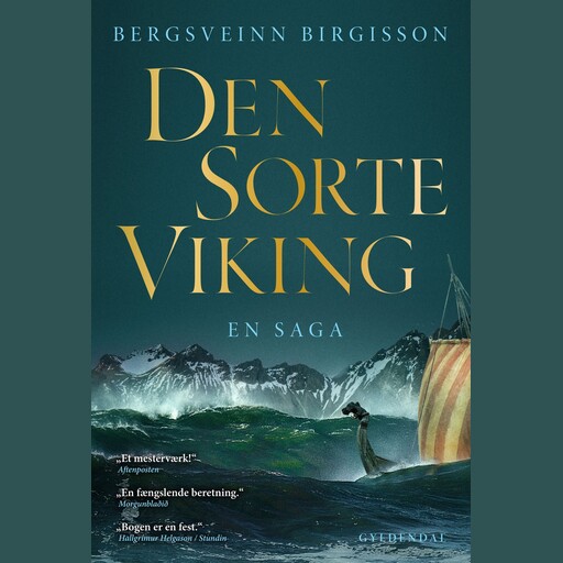 Den sorte viking, Bergsveinn Birgisson