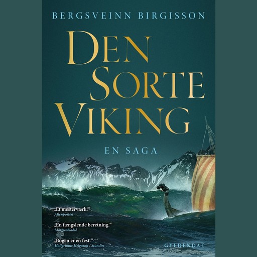 Den sorte viking, Bergsveinn Birgisson