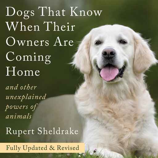 Dogs That Know When Their Owners Are Coming Home, Rupert Sheldrake