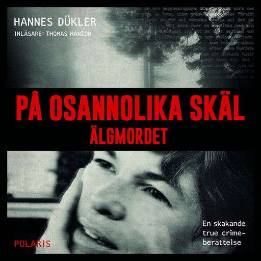 På osannolika skäl, Hannes Dükler