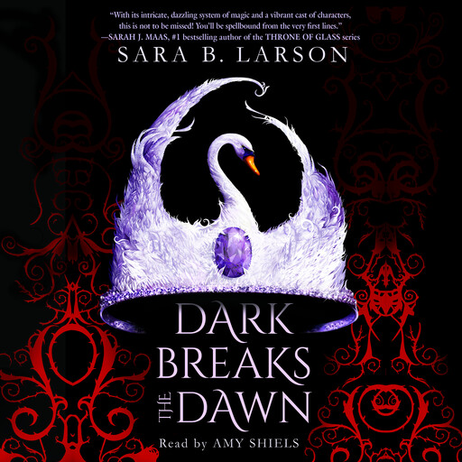 Dark Breaks the Dawn, Sara B. Larson