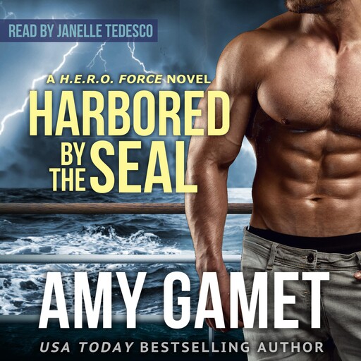 Harbored by the SEAL, Amy Gamet