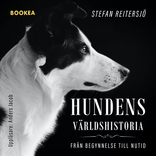 Hundens världshistoria, Stefan Reitersjö