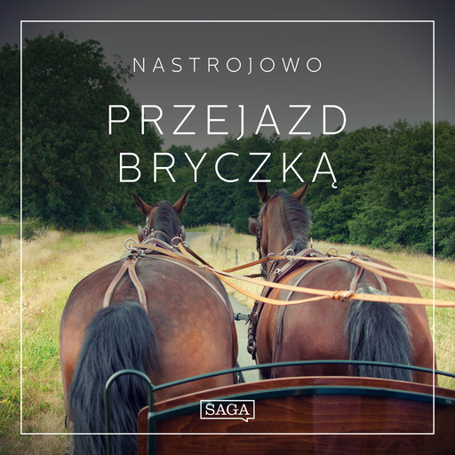 Nastrojowo - Przejazd Bryczką, Rasmus Broe