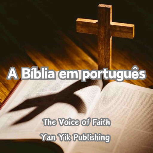 A Bíblia em português, Biblia