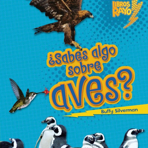 ¿Sabes algo sobre aves? (Do You Know about Birds?), Buffy Silverman