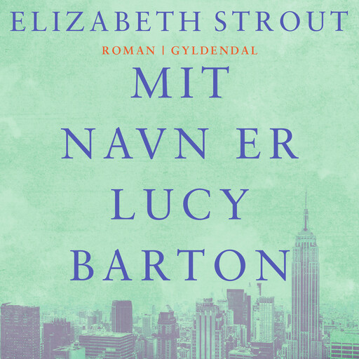 Mit navn er Lucy Barton, Elizabeth Strout