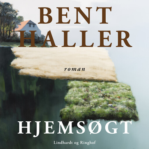 Hjemsøgt, Bent Haller