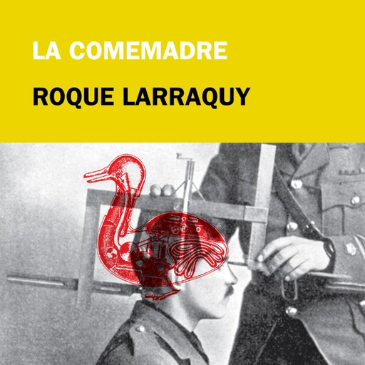 La comemadre, Roque Larraquy