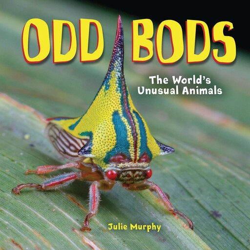 Odd Bods, Julie Murphy