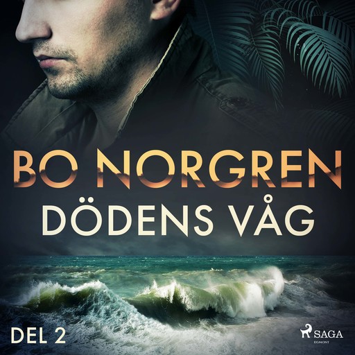 Dödens våg: del 2, Bo Norgren