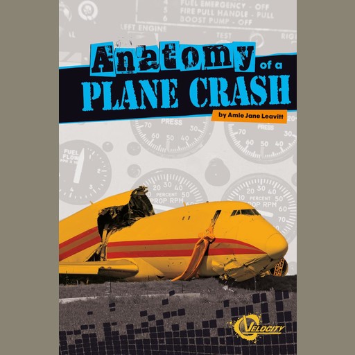 Anatomy of a Plane Crash, Amie Leavitt