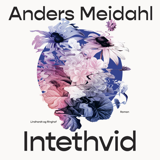 Intethvid, Anders Meidahl