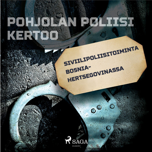 Siviilipoliisitoiminta Bosnia-Hertsegovinassa, Eri Tekijöitä