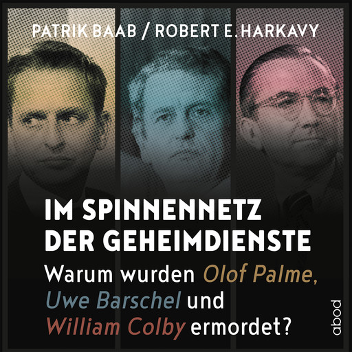 Im Spinnennetz der Geheimdienste, Patrik Baab, Robert E. Harkavy