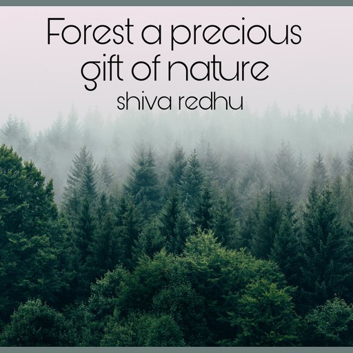 Forest a precious gift of nature, shiva redhu