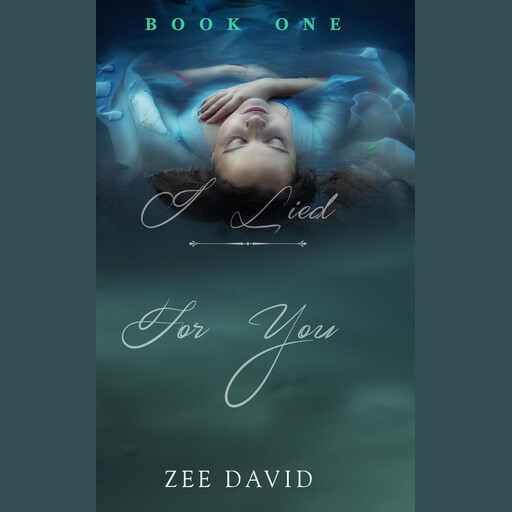 I Lied For You, Zee David