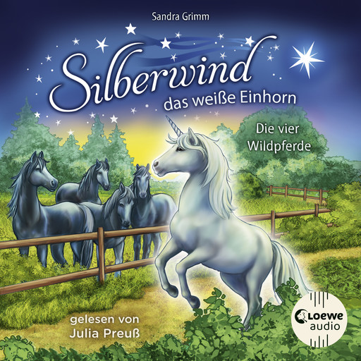 Silberwind, das weiße Einhorn (Band 3) - Die vier Wildpferde, Sandra Grimm