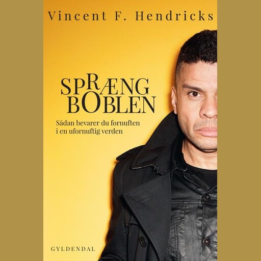 Spræng boblen, Vincent F. Hendricks