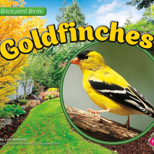 Goldfinches, Lisa Amstutz