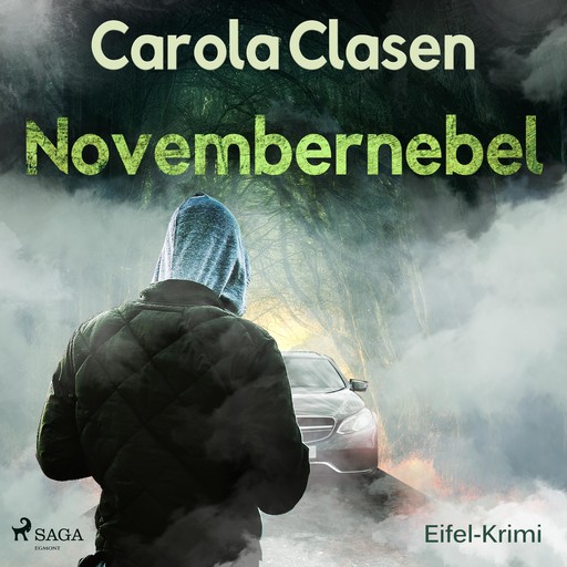 Novembernebel - Eifel-Krimi (Ungekürzt), Carola Clasen