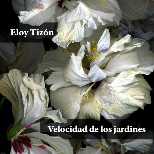 Velocidad de los jardines, Eloy Tizón