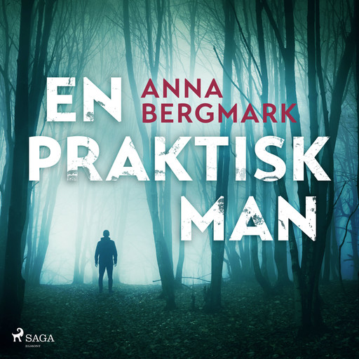 En praktisk man, Anna Bergmark