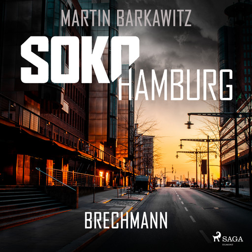 SoKo Hamburg: Brechmann (Ein Fall für Heike Stein, Band 17), Martin Barkawitz
