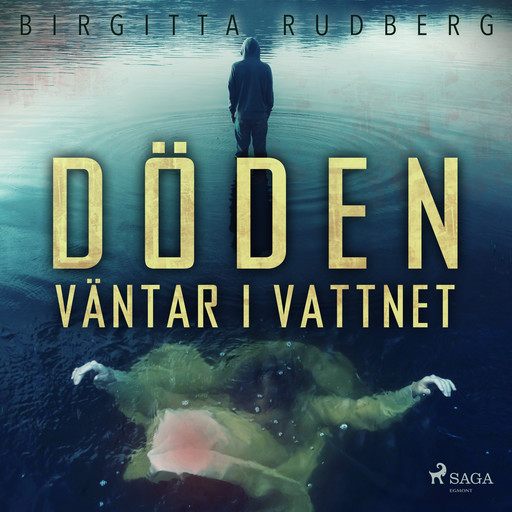 Döden väntar i vattnet, Birgitta Rudberg
