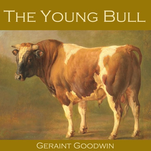 The Young Bull, Geraint Goodwin