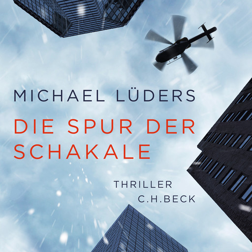 Die Spur der Schakale, Michael Lüders