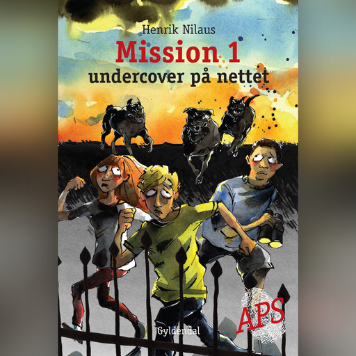 Mission 1 - Undercover på nettet, Henrik Nilaus