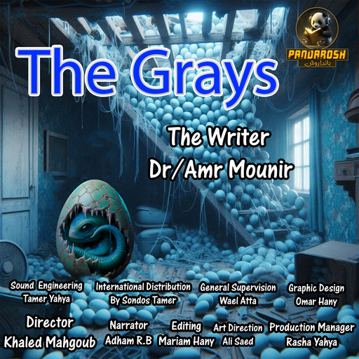 The Grays, Amr Mounir