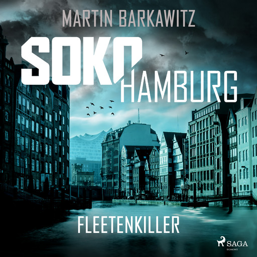 SoKo Hamburg: Fleetenkiller (Ein Fall für Heike Stein, Band 13), Martin Barkawitz