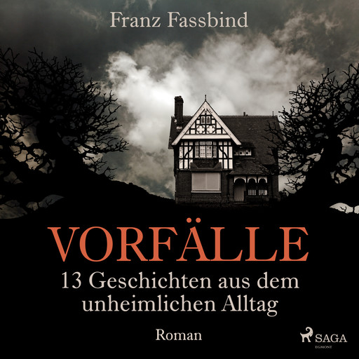 Vorfälle. 13 Geschichten aus dem unheimlichen Alltag, Franz Fassbind