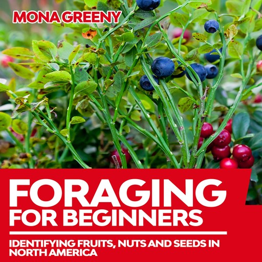 Foraging For Beginners, Mona Greeny