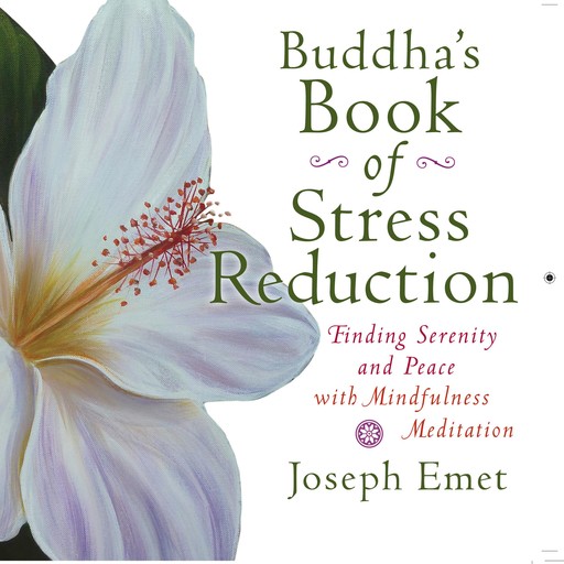 Buddha's Book of Stress Reduction, Joseph Emet