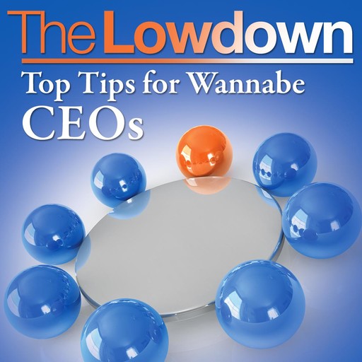 The Lowdown: Top Tips for Wannabe CEOs, Richard Pettinger, Richard Charkin