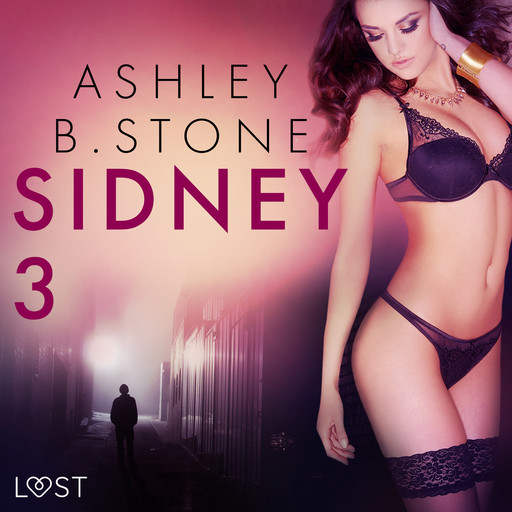 Sidney 3 - una novela corta erótica, Ashley B. Stone